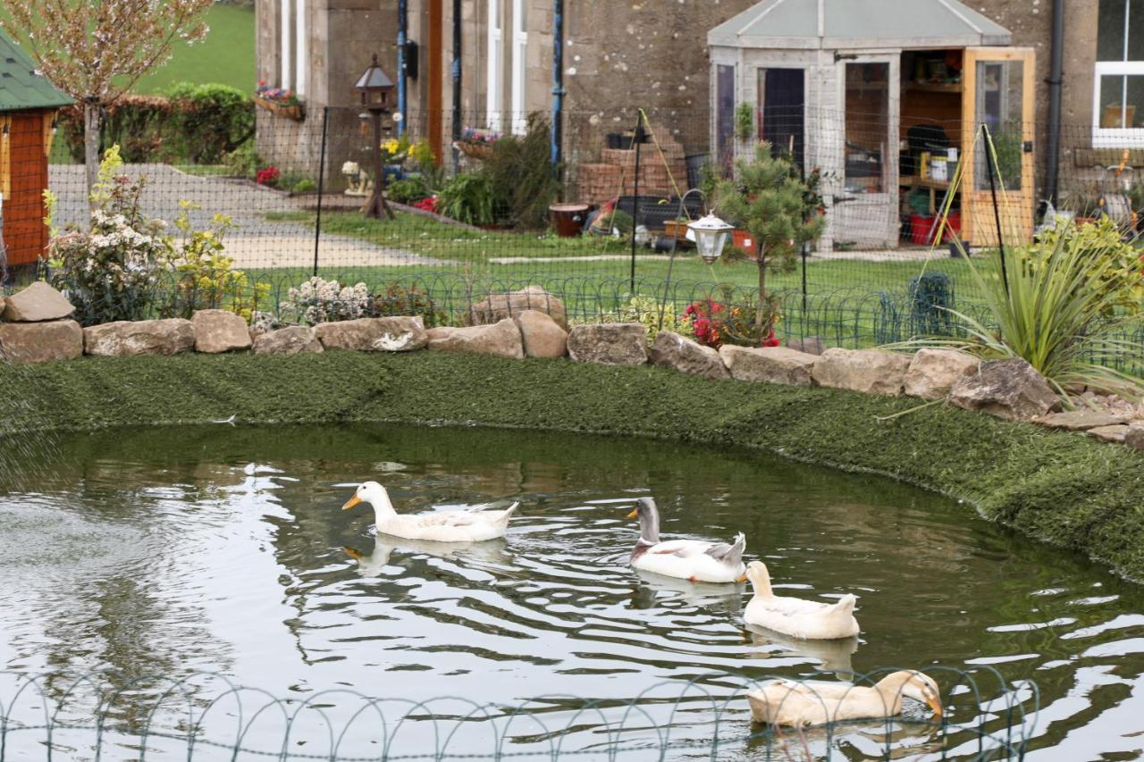 Park Farmhouse, Luxury Bed & Breakfast, Turnberry Dış mekan fotoğraf
